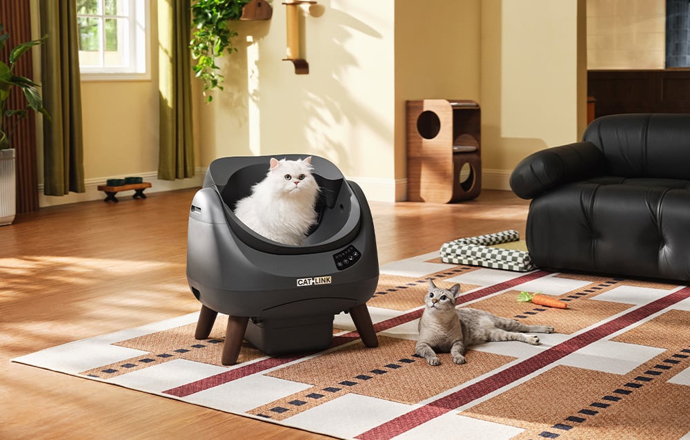 litieră automată pentru pisici Catlink Open X negru/gri – Despre produs